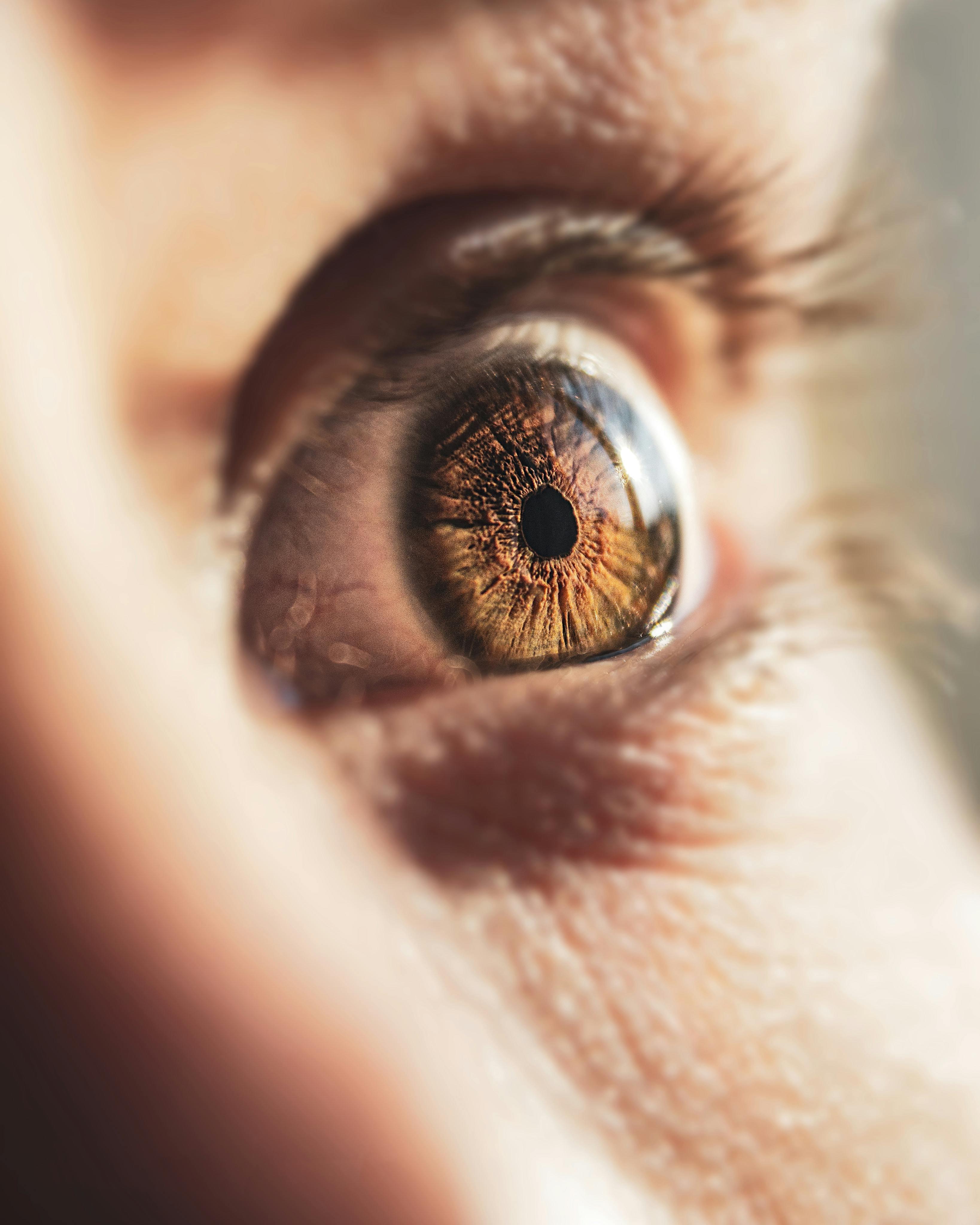I Origins — eveniment culinar Solomon